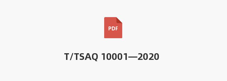 T/TSAQ 10001—2020